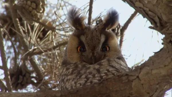 һҪӿ12߷񼶼¼Ƭ̫