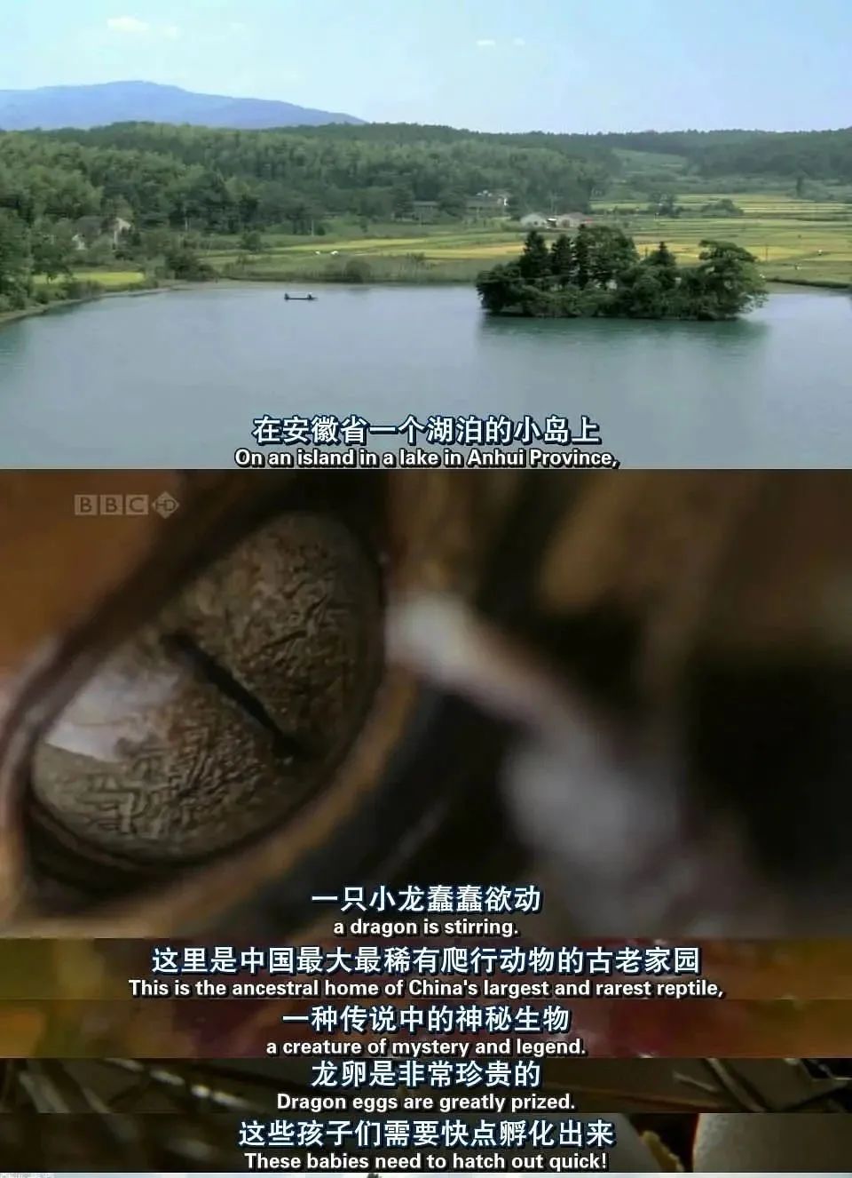 һҪӿ12߷񼶼¼Ƭ̫