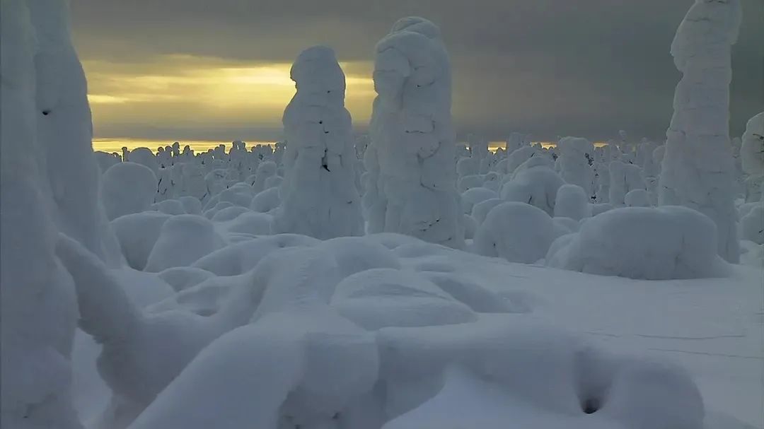 һҪӿ12߷񼶼¼Ƭ̫