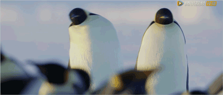 һҪӿ12߷񼶼¼Ƭ̫