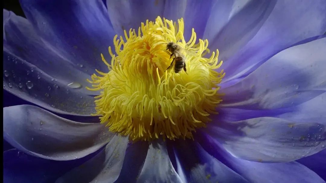 һҪӿ12߷񼶼¼Ƭ̫