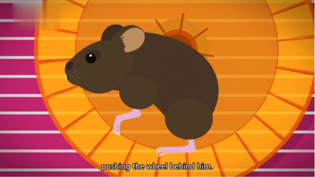 һҪӿ12߷񼶼¼Ƭ̫