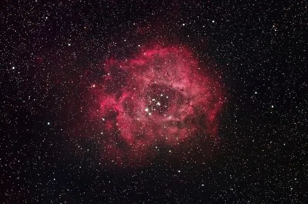 һҪӿ12߷񼶼¼Ƭ̫