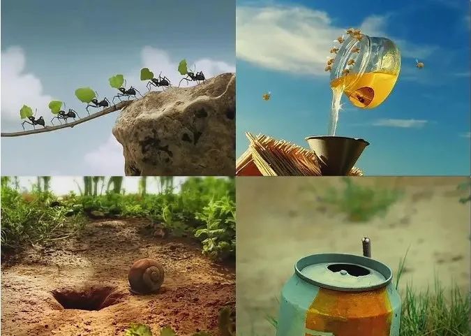 һҪӿ12߷񼶼¼Ƭ̫