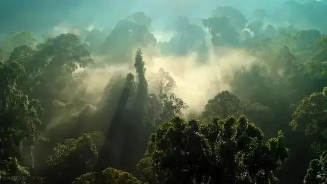 һҪӿ12߷񼶼¼Ƭ̫