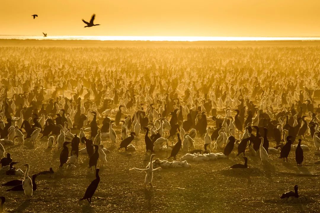 һҪӿ12߷񼶼¼Ƭ̫