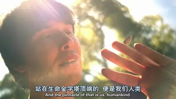 һҪӿ12߷񼶼¼Ƭ̫