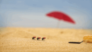 һҪӿ12߷񼶼¼Ƭ̫