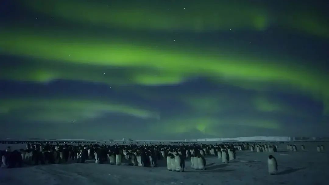 һҪӿ12߷񼶼¼Ƭ̫