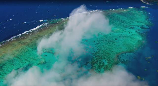 һҪӿ12߷񼶼¼Ƭ̫