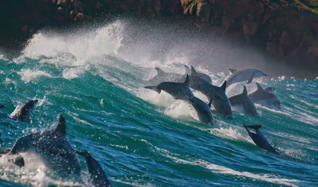 һҪӿ12߷񼶼¼Ƭ̫