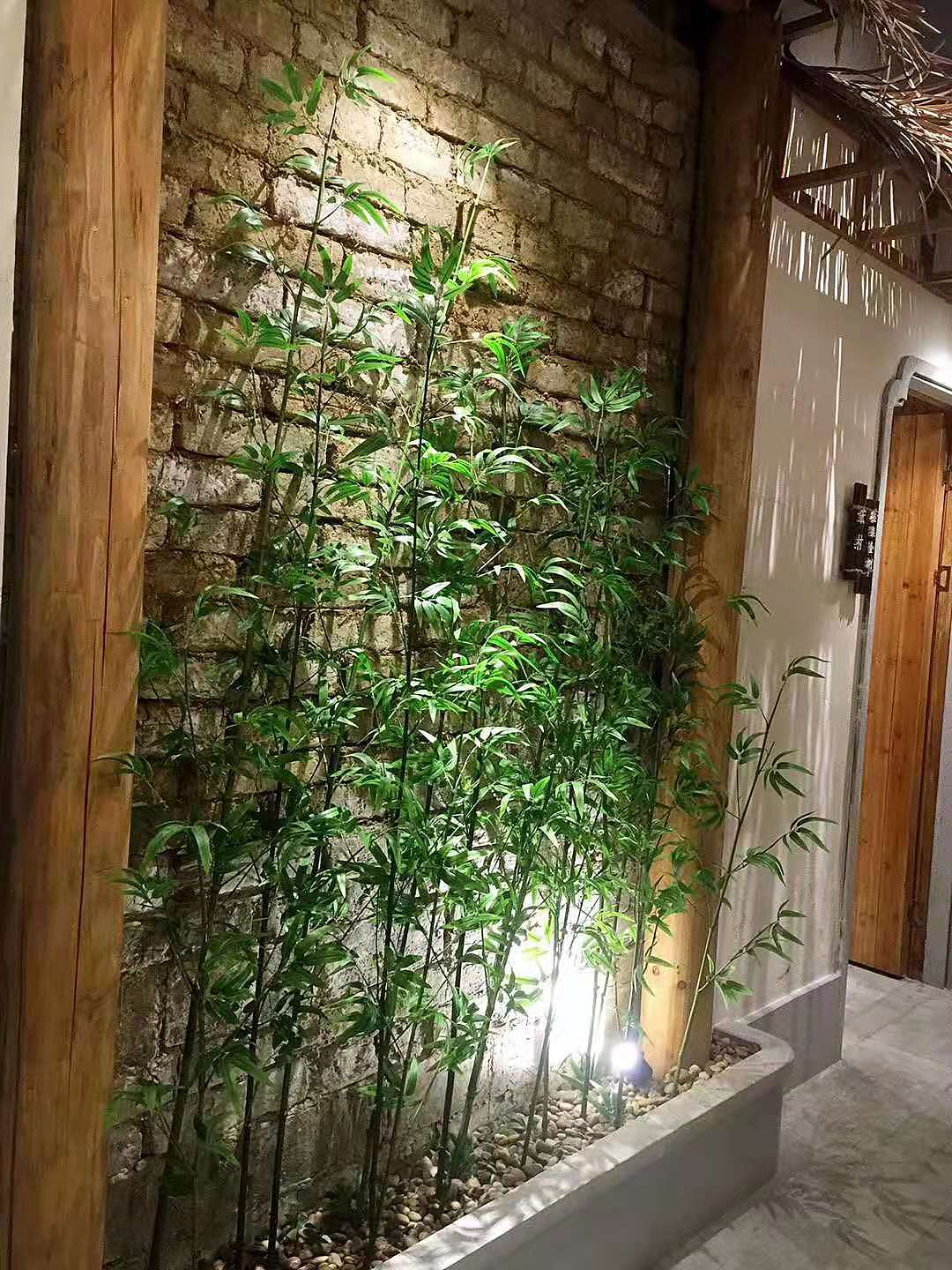 ɾ