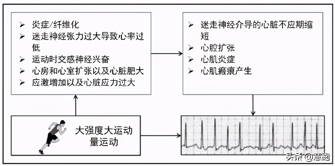 �˶�����������𣿶�16���˶�Ա�����о���ó��Ľ���