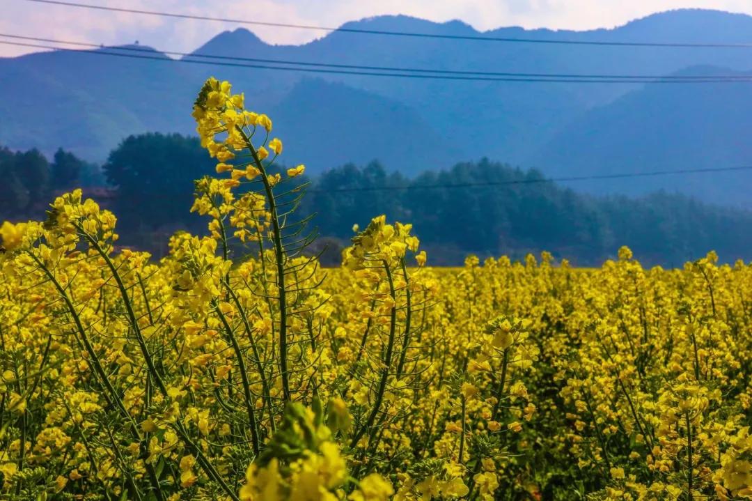 ����һ�����죬�����ų�һ�ֲ��׳����