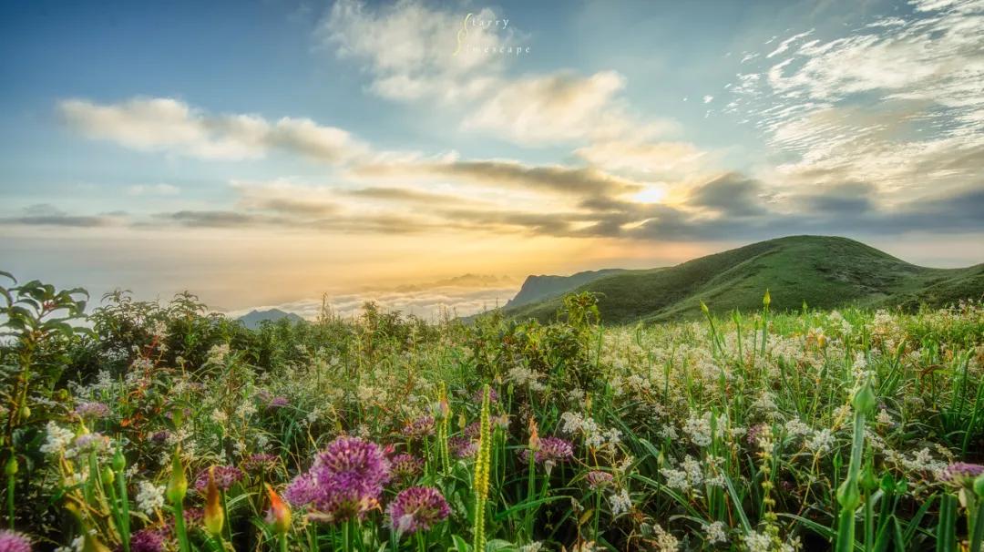 ����һ�����죬�����ų�һ�ֲ��׳����