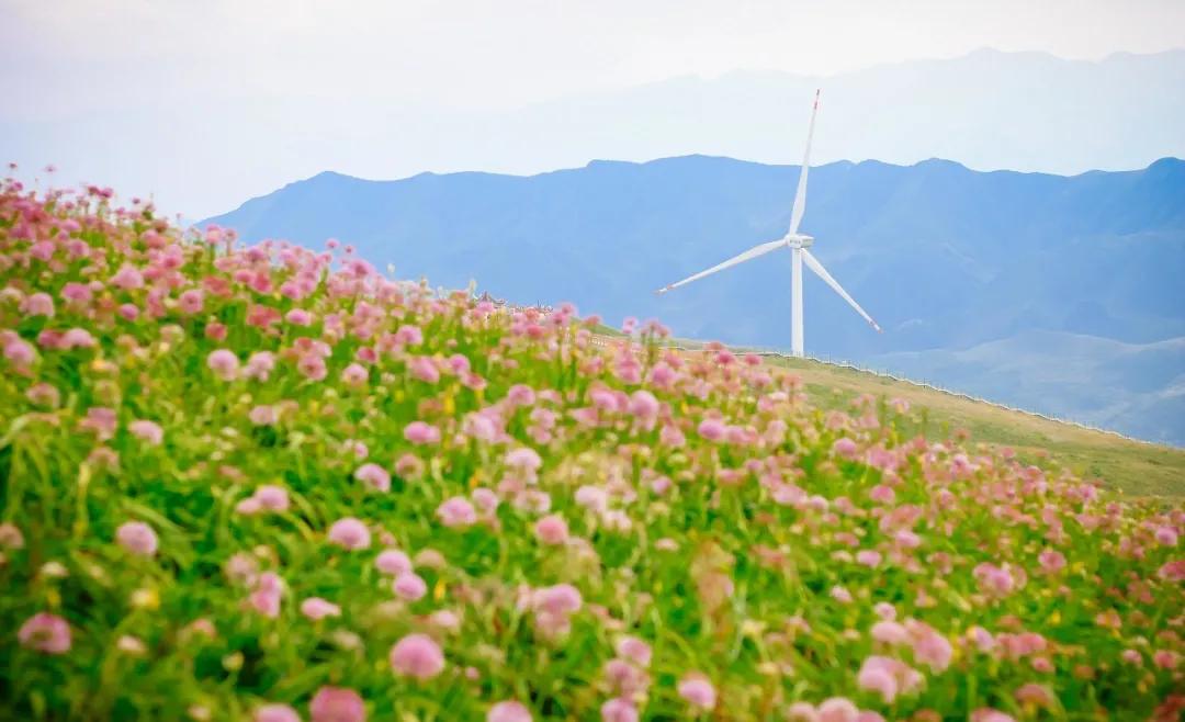 ����һ�����죬�����ų�һ�ֲ��׳����