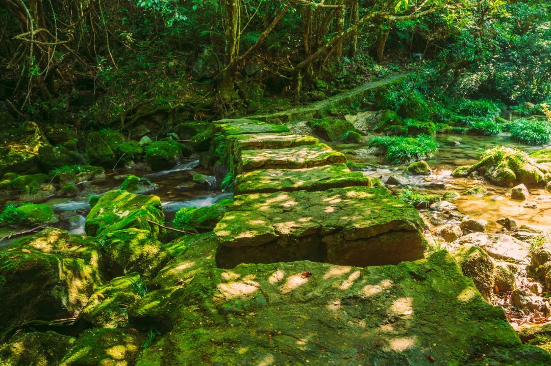 ����һ�����죬�����ų�һ�ֲ��׳����