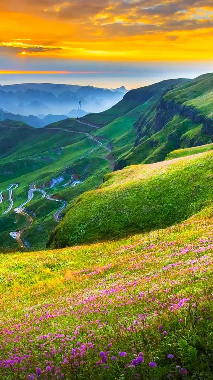 ����һ�����죬�����ų�һ�ֲ��׳����