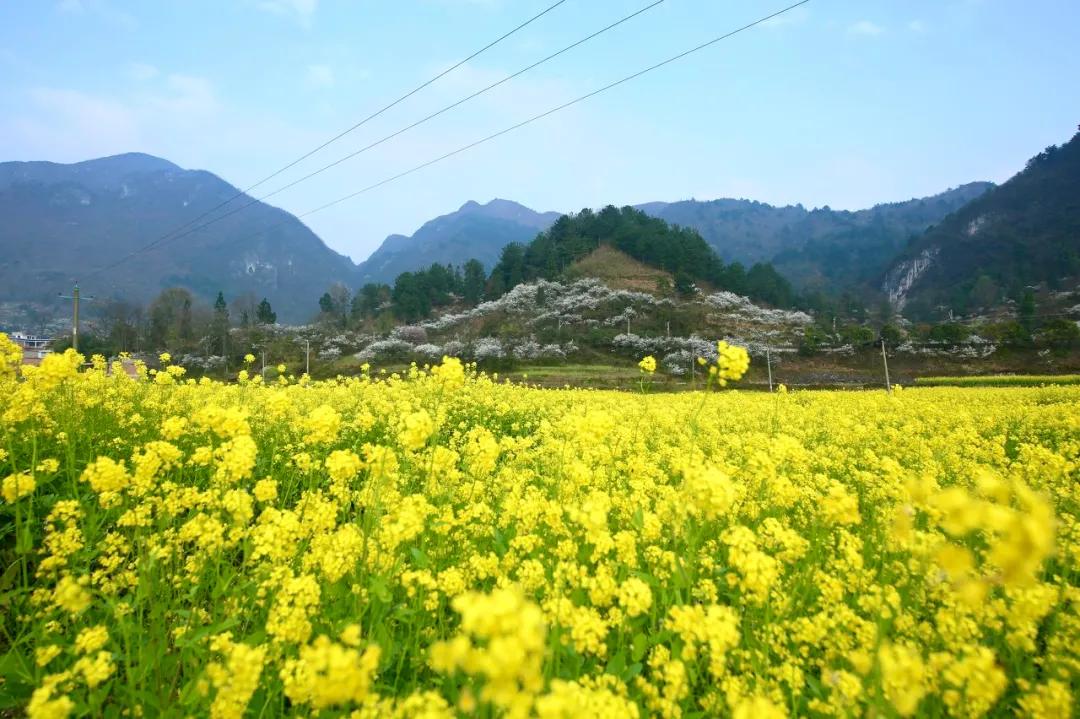 ����һ�����죬�����ų�һ�ֲ��׳����