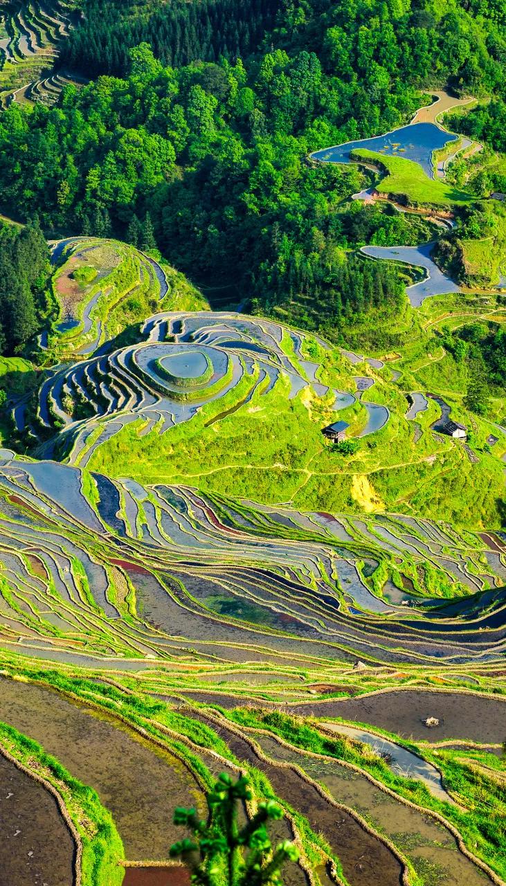 ����һ�����죬�����ų�һ�ֲ��׳����