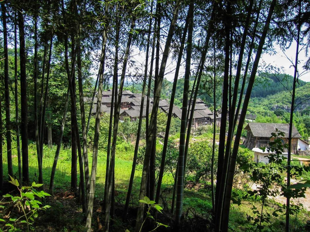 ����һ�����죬�����ų�һ�ֲ��׳����