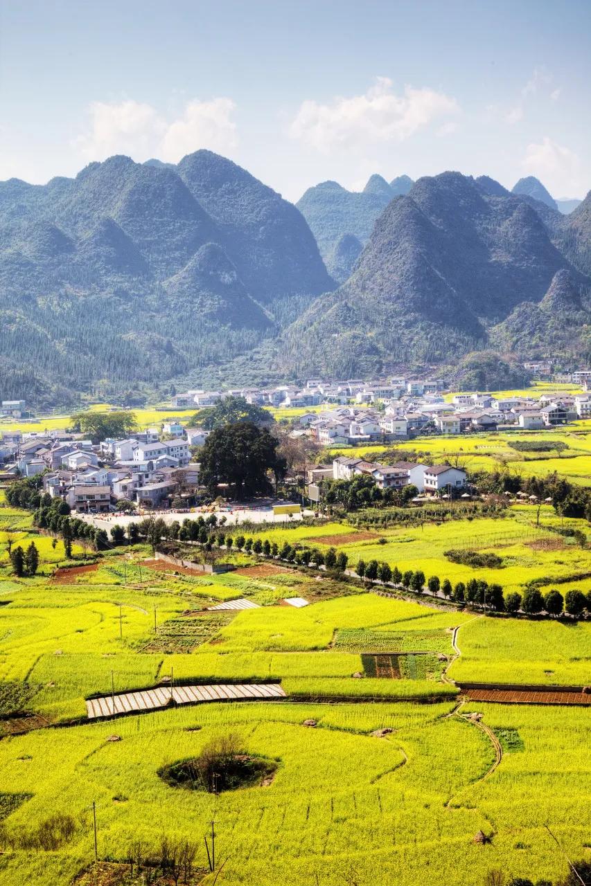 ����һ�����죬�����ų�һ�ֲ��׳����