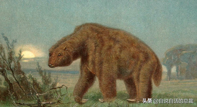 ţ͹30ǰʳƷΪʲôͻȻ