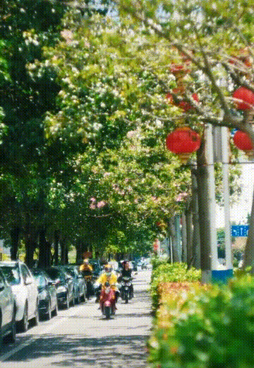 ����ǹ�����ݵ�8�����У�������ȥ������������