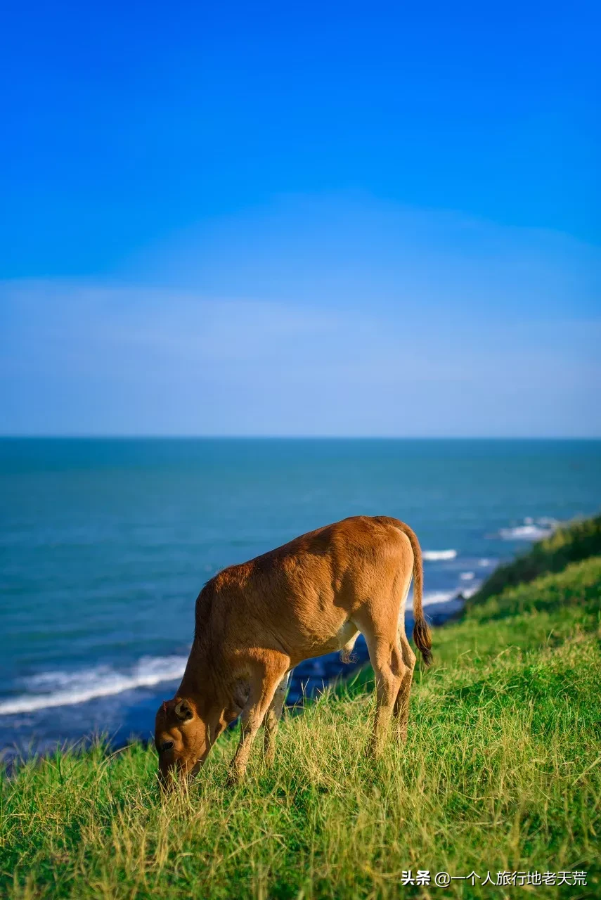 ����ǹ�����ݵ�8�����У�������ȥ������������