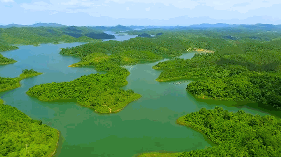 ����ǹ�����ݵ�8�����У�������ȥ������������