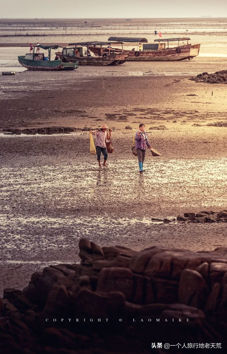 ����ǹ�����ݵ�8�����У�������ȥ������������