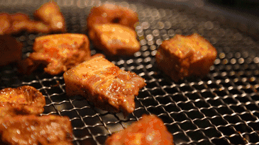 ����ǹ�����ݵ�8�����У�������ȥ������������