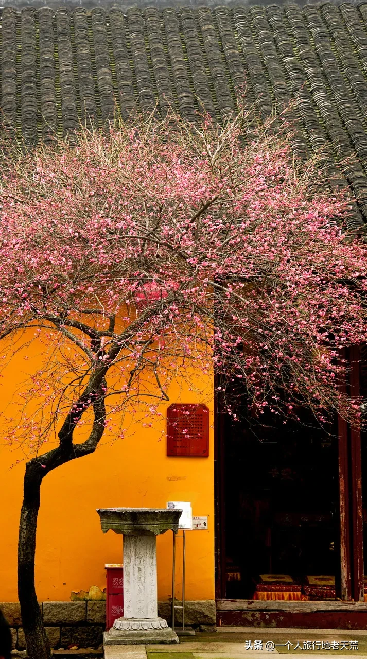 ����ǹ�����ݵ�8�����У�������ȥ������������