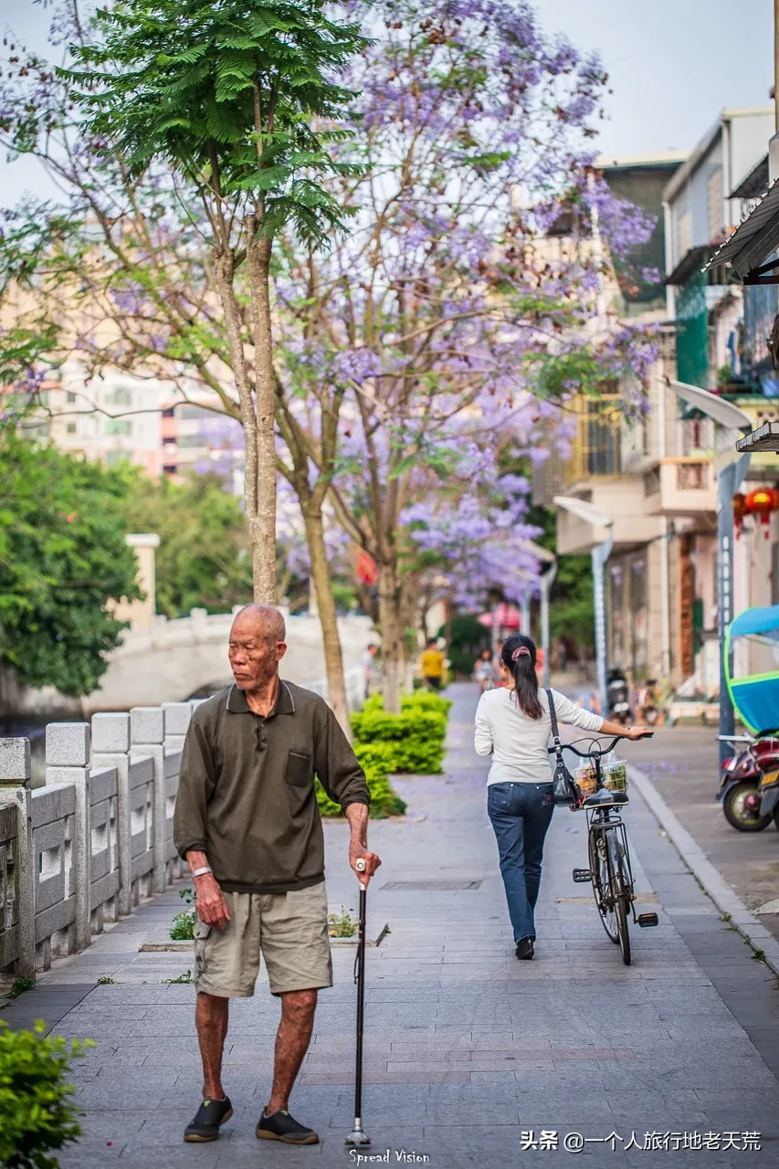 ����ǹ�����ݵ�8�����У�������ȥ������������