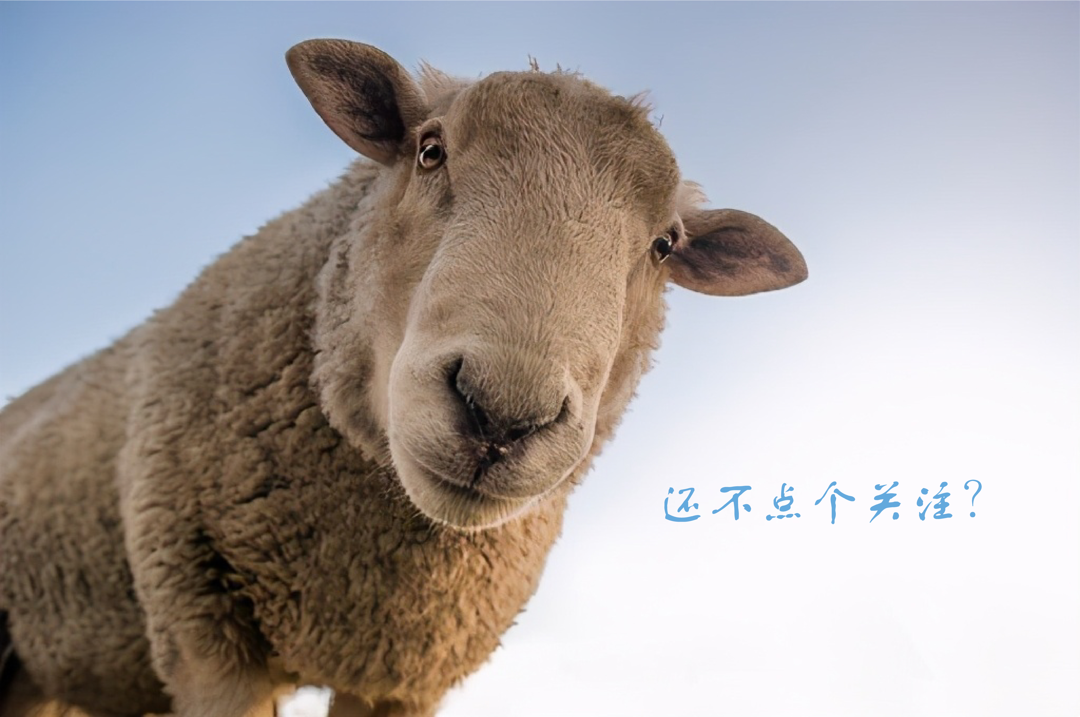 药学博士:皮肤想抗衰老?氧化&糖化?你到底还要交多少智商税?