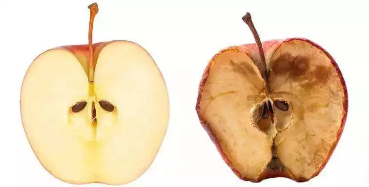 药学博士:皮肤想抗衰老?氧化&糖化?你到底还要交多少智商税?