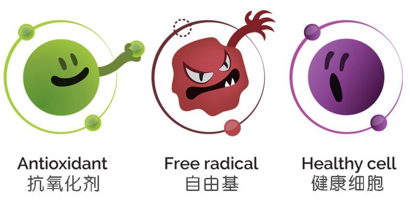 药学博士:皮肤想抗衰老?氧化&糖化?你到底还要交多少智商税?