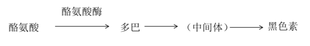 药学博士:皮肤想抗衰老?氧化&糖化?你到底还要交多少智商税?
