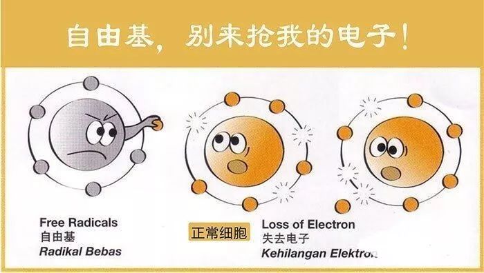 药学博士:皮肤想抗衰老?氧化&糖化?你到底还要交多少智商税?