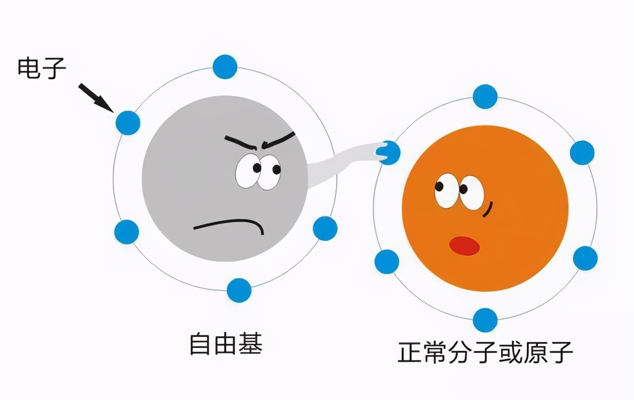药学博士:皮肤想抗衰老?氧化&糖化?你到底还要交多少智商税?
