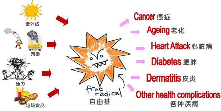药学博士:皮肤想抗衰老?氧化&糖化?你到底还要交多少智商税?
