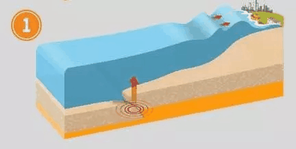 ���50�׸ߵĺ�Х��Ϯ����������½�ã�����ӭ������ˮ��ã�