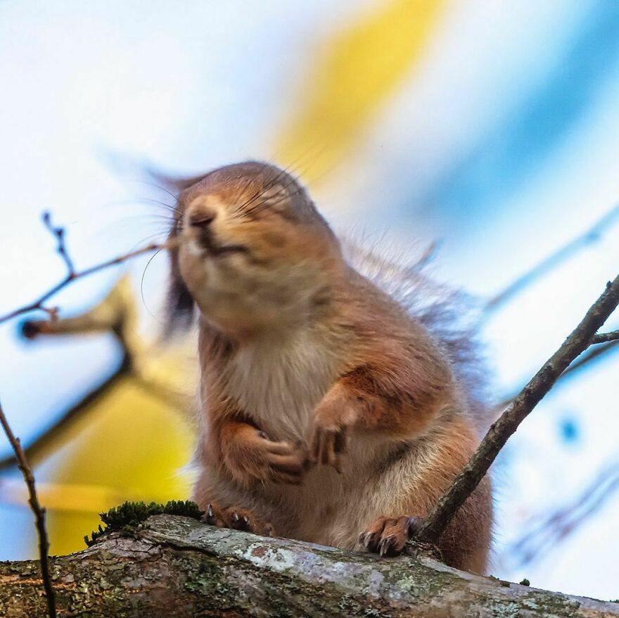 ʱ䣬Ծϲ