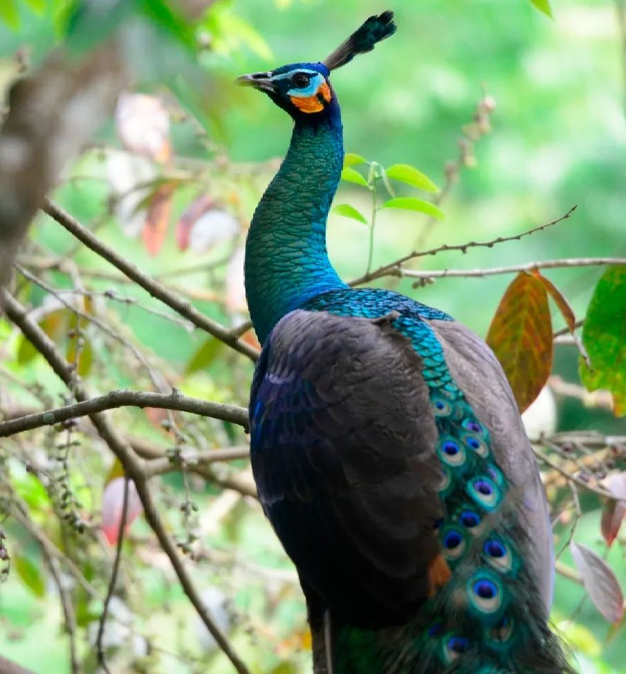 �ߣ�ȥ�͡����ϼ����Ķ��ｻ�����ѣ�