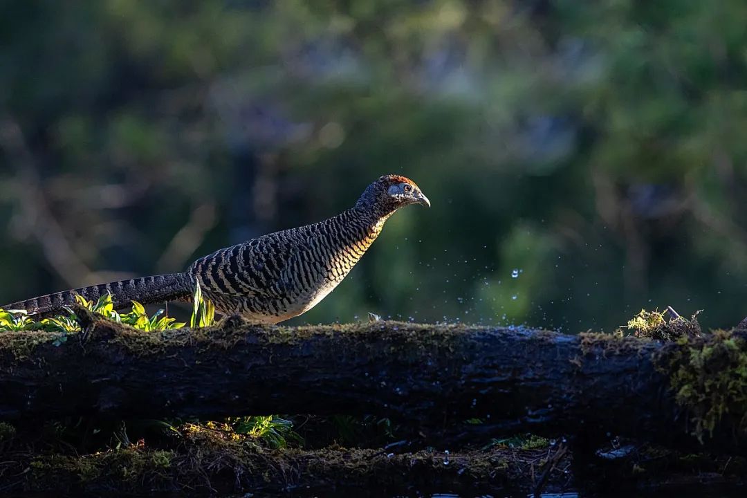 �ߣ�ȥ�͡����ϼ����Ķ��ｻ�����ѣ�