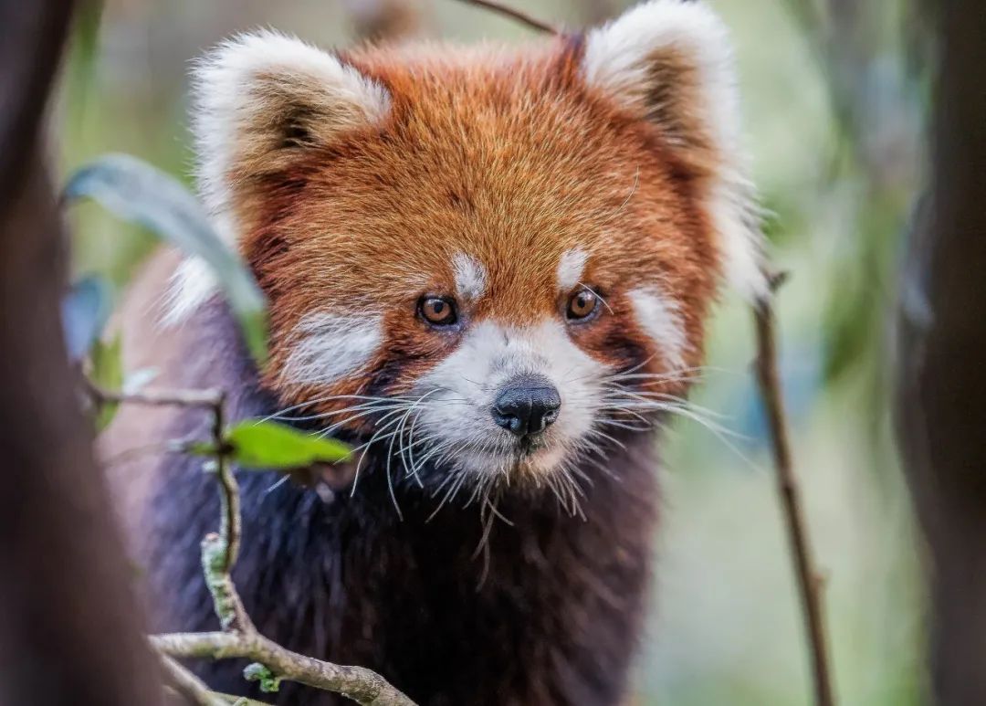 �ߣ�ȥ�͡����ϼ����Ķ��ｻ�����ѣ�