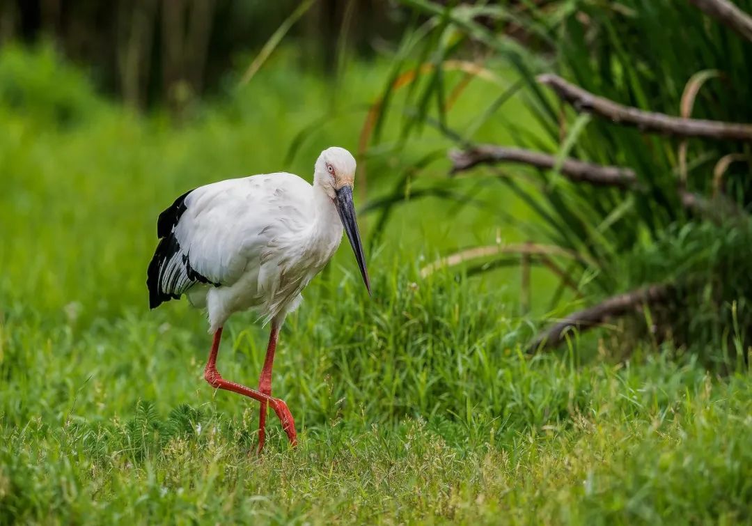 �ߣ�ȥ�͡����ϼ����Ķ��ｻ�����ѣ�