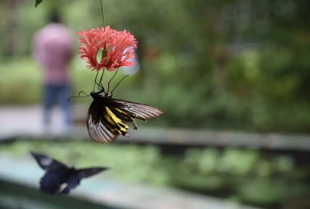 �ߣ�ȥ�͡����ϼ����Ķ��ｻ�����ѣ�