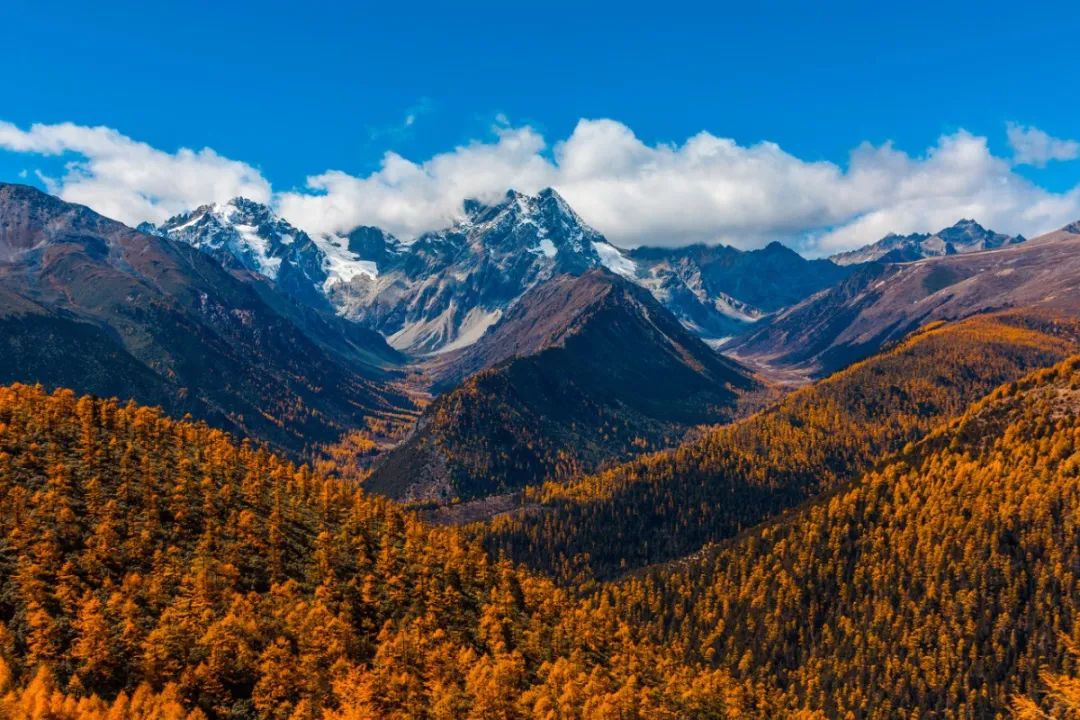 �ߣ�ȥ�͡����ϼ����Ķ��ｻ�����ѣ�