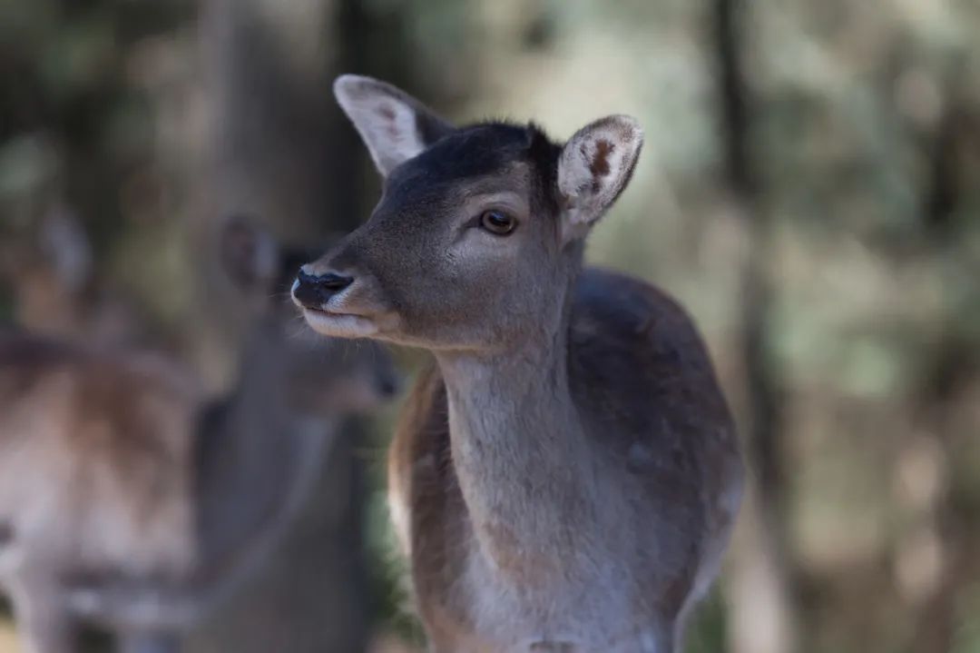 �ߣ�ȥ�͡����ϼ����Ķ��ｻ�����ѣ�
